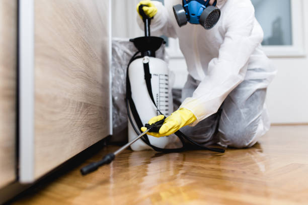 Best Local Pest Control Services  in Colonial Heights, TN