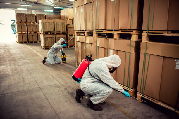Best Mosquito Control Services  in Colonial Heights, TN