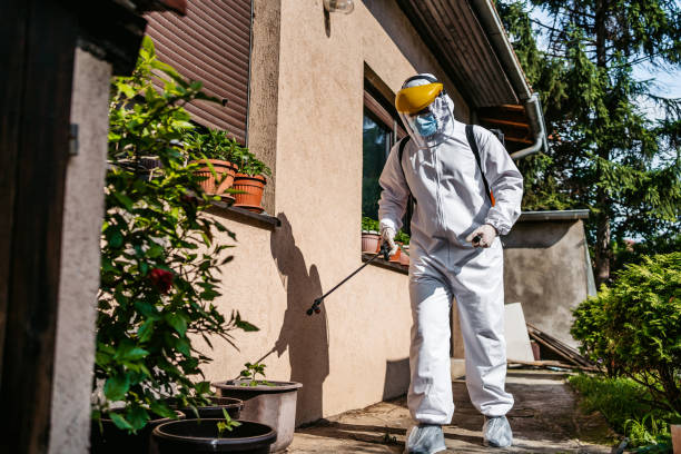 Pest Prevention Services in Colonial Heights, TN
