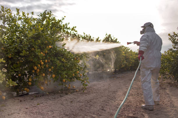 Best Exterminator Services  in Colonial Heights, TN