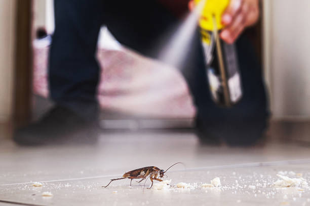 Best Emergency Pest Control  in Colonial Heights, TN