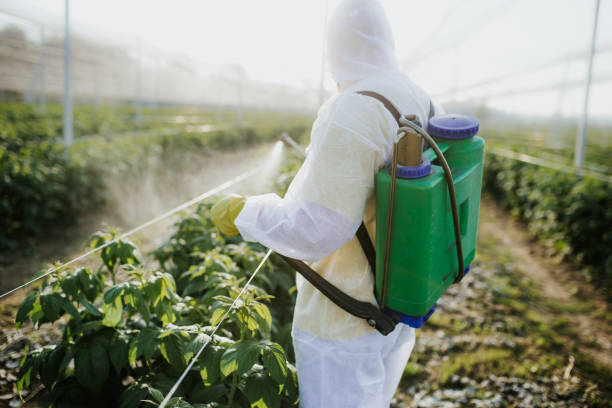 Best Residential Pest Control  in Colonial Heights, TN